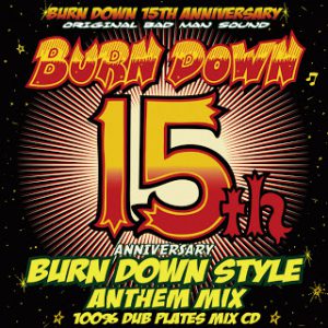 BURNDOWN JAPANECE MIX CDアルバムまとめセット　ジャパレゲ BURN DOWN MIX & JAPANESE MIX セット - メルカリ