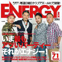 ENERGY MIX 2011