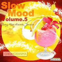 SLOW MOOD VOL.5 ~Songs from Hawaii & Jamaica~