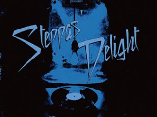 STEPPAS DELIGHT #2