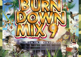 鉄板MIXシリーズ ☆ BURN DOWN MIX 9 ☆