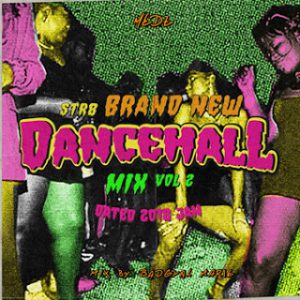 STR8 BRAND NEW DANCEHALL MIX Vol.2 -Dated JAN 2018- mixed by BAD GYAL MARIE from MEDZ