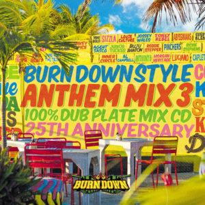 BURN DOWN STYLE ANTHEM MIX vol.3