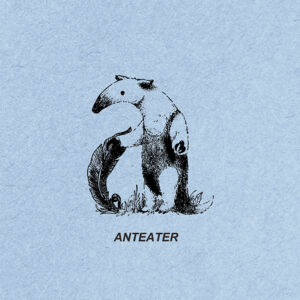 Anteater