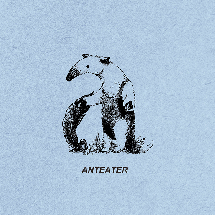 Anteater